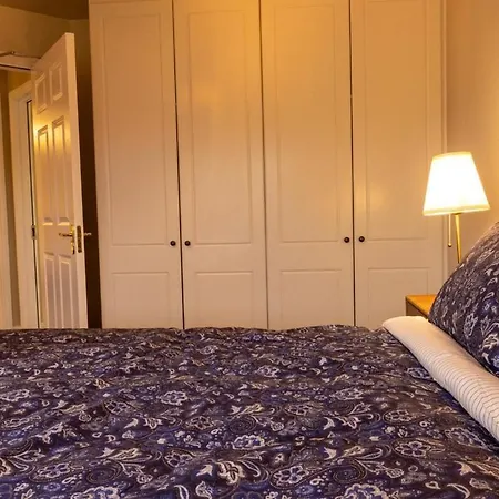 Sarahs Away From Luxury 公寓 恩尼斯